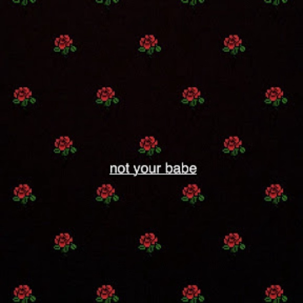 Meet your Posher, Isabella